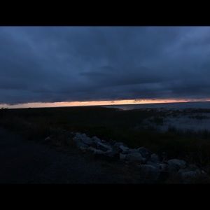 Meet your Posher, Darcie